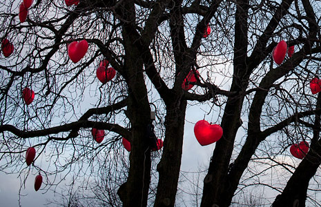 渠道价格优势的网站ddos